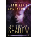The Burning Shadow: An Origin Novel